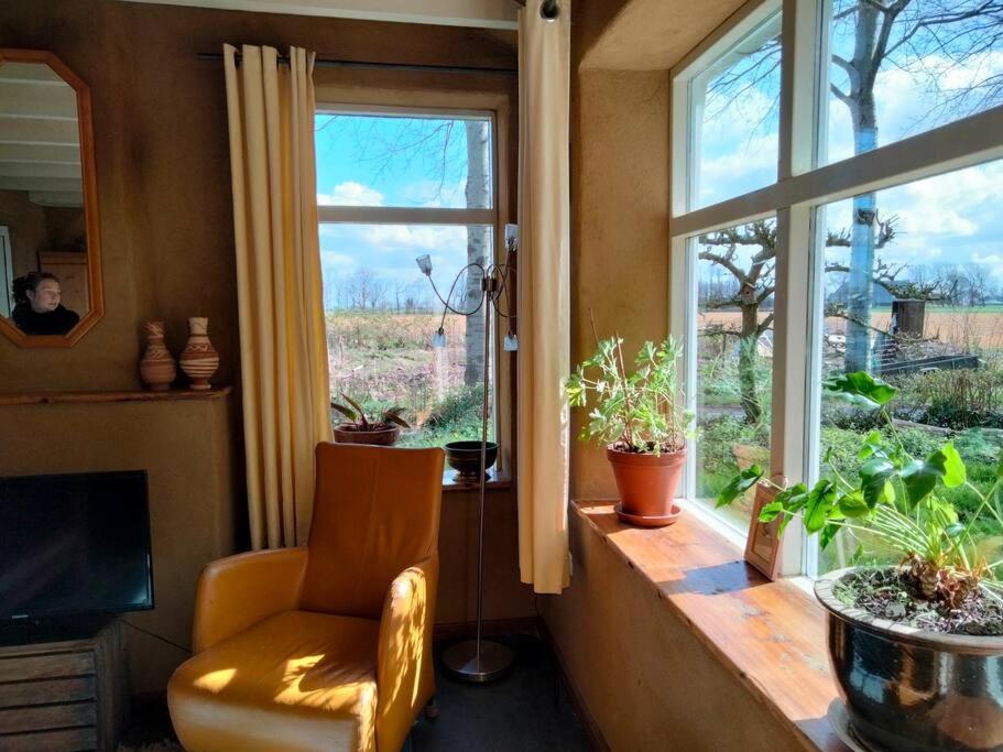 Vogelvrij Villa Vierhuizen Ngoại thất bức ảnh