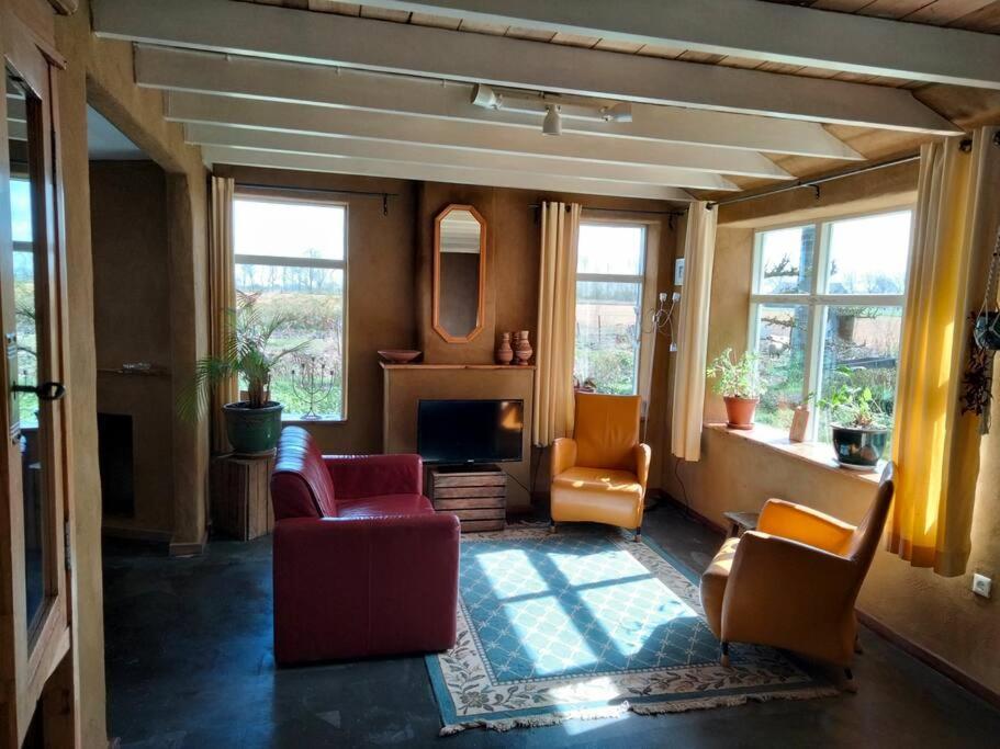 Vogelvrij Villa Vierhuizen Ngoại thất bức ảnh