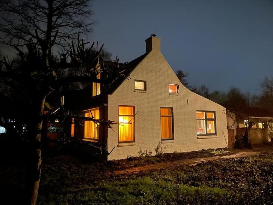 Vogelvrij Villa Vierhuizen Ngoại thất bức ảnh