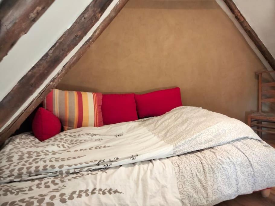 Vogelvrij Villa Vierhuizen Ngoại thất bức ảnh