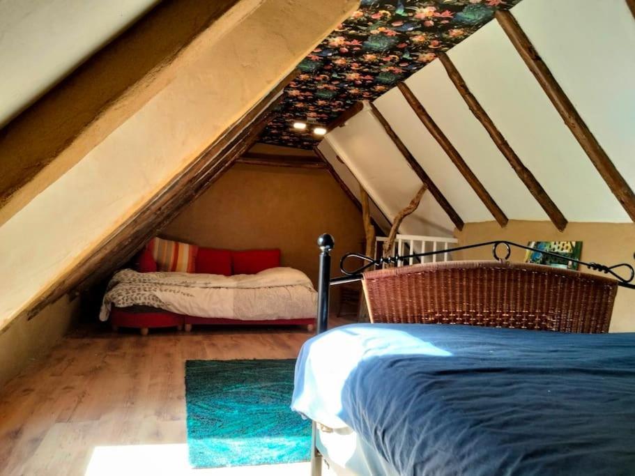 Vogelvrij Villa Vierhuizen Ngoại thất bức ảnh