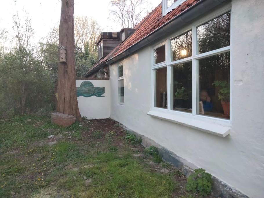 Vogelvrij Villa Vierhuizen Ngoại thất bức ảnh