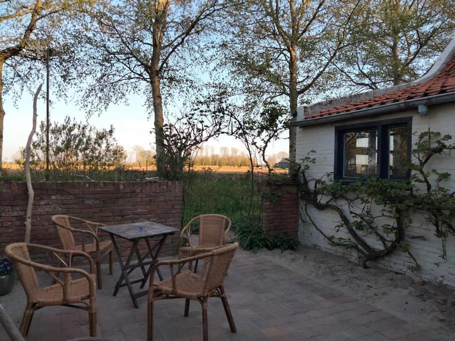 Vogelvrij Villa Vierhuizen Ngoại thất bức ảnh