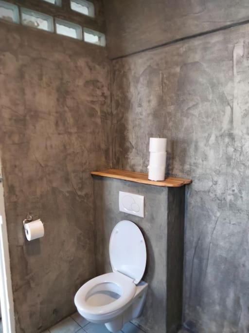 Vogelvrij Villa Vierhuizen Ngoại thất bức ảnh